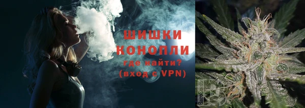 шишки Аркадак
