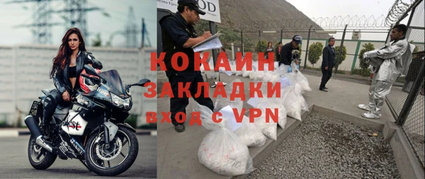 шишки Аркадак