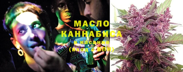 шишки Аркадак