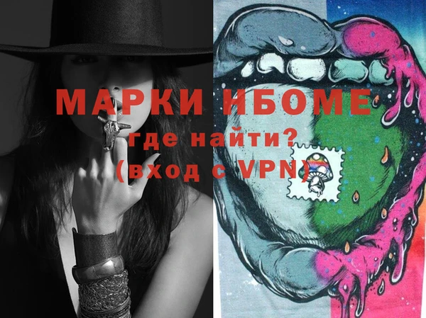 шишки Аркадак