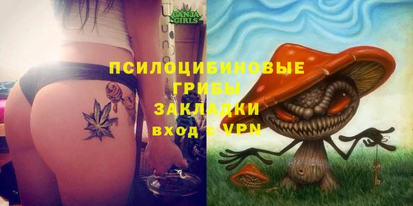 прущие крисы Арсеньев