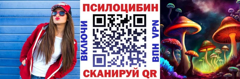 Псилоцибиновые грибы мицелий что такое Холмск